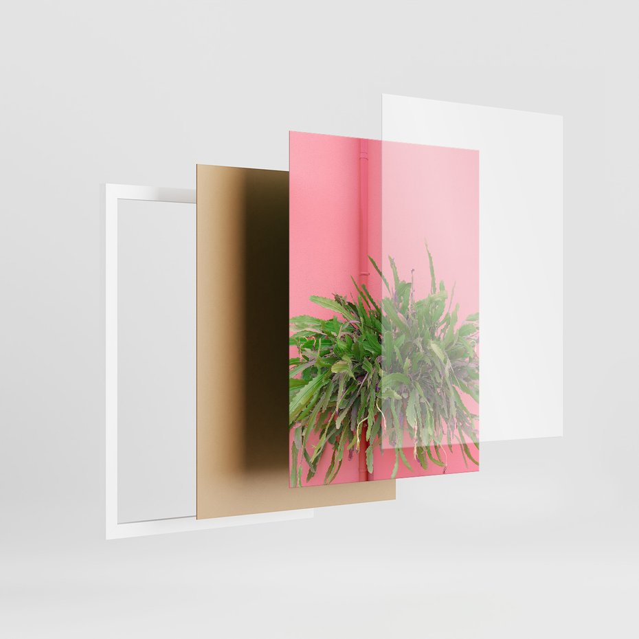 Zestaw obrazy w ramie 30x40 galeria - Liście, kaktusy, rośliny, pastele, retro - rama biała