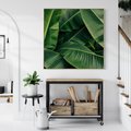 Obraz w ramie 50x50 - Zaklęta roślinna ekspresja - liście bananowca, gęsto ułożone - rama drewno