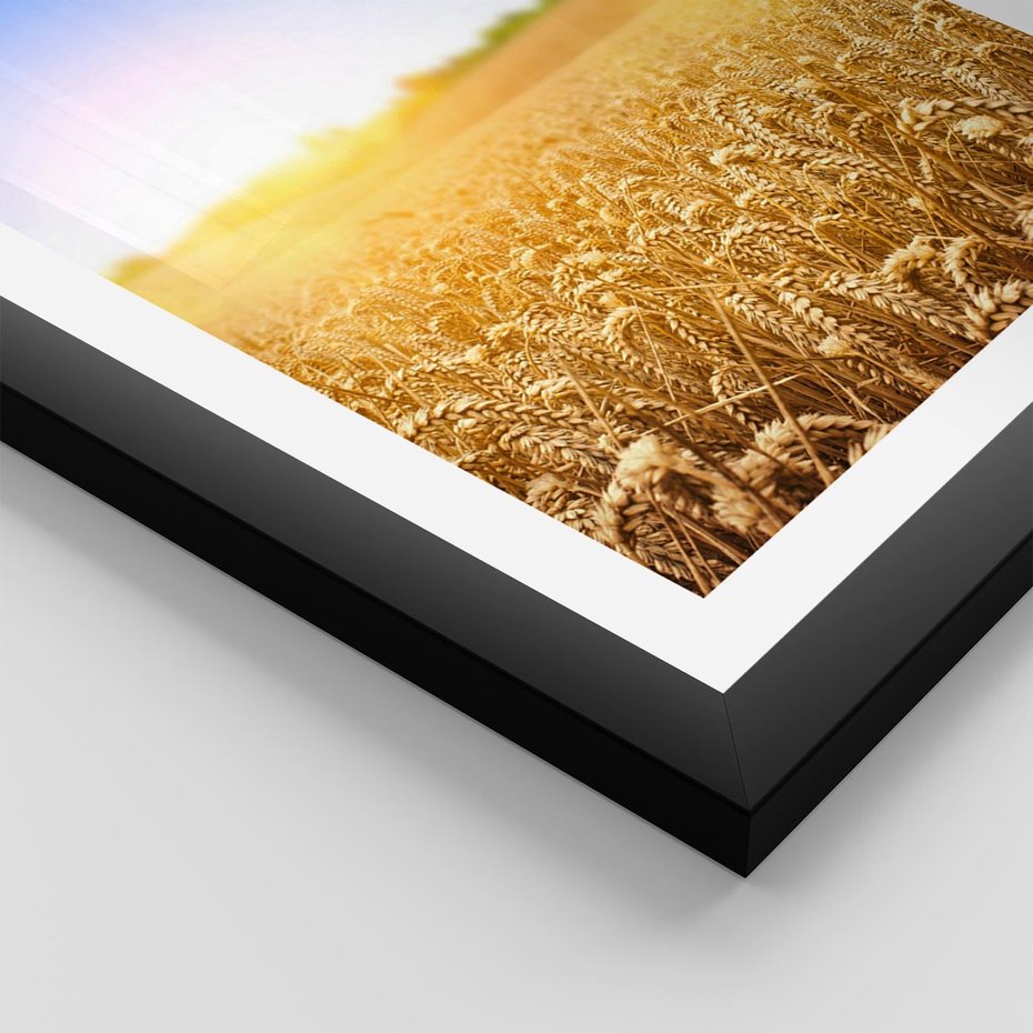Plakat w ramie 40x50 - Żyzne Pola - pole, pszenicy - rama czarna