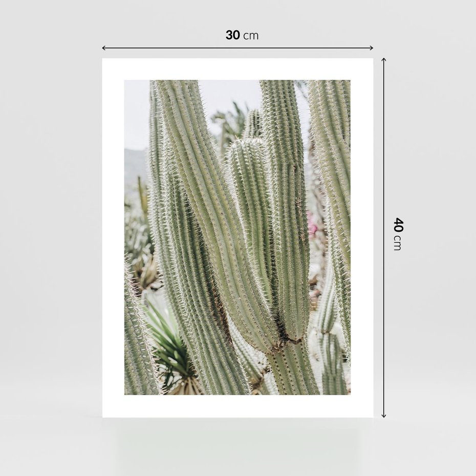 Plakat bez ramy 30x40 - Duże Kaktusy w Pejzażu - kaktus, duże kaktusy na pustyni