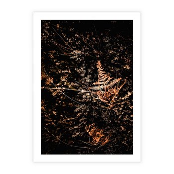 Plakat bez ramy 21x30 - Jesienna Melodia - suche trawy, paprocie