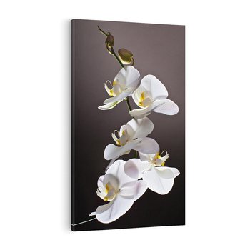 Obraz na płótnie 50x70 - SPA: harmonia z kwiatami - spa, kwiaty