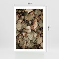 Plakat bez ramy 21x30 - Magia Jesiennych Liści - liście, suche liście