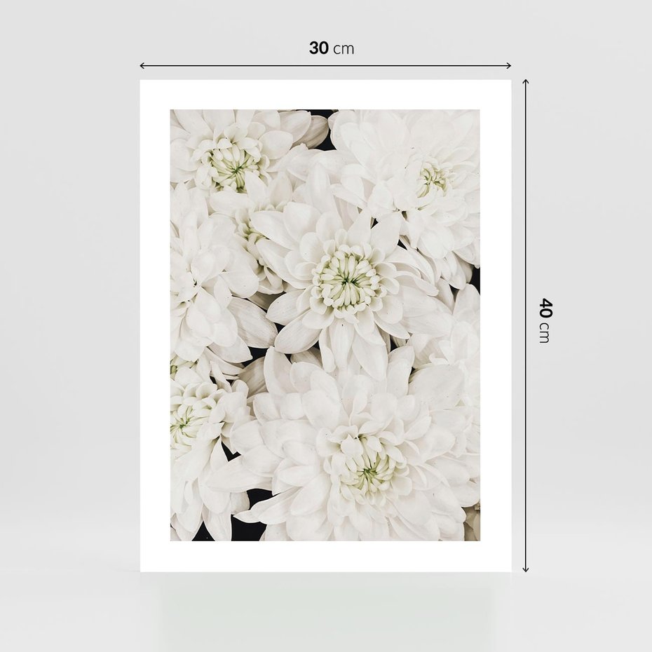 Plakat bez ramy 30x40 - Białe Kwiaty: Płatki Delikatności - białe kwiaty, zbliżenie