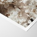 Plakat bez ramy 21x30 - Płatki w Detalu - białe kwiaty, zbliżenie