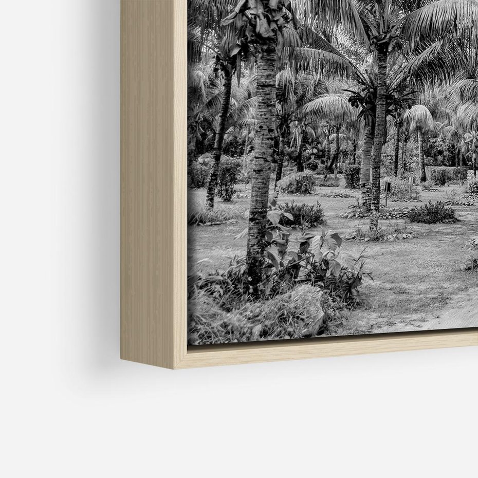 Obraz w ramie 50x50 - Mroczna Ścieżka Tropików - czarno biała fotografia, ścieżka pośród palm - rama drewno