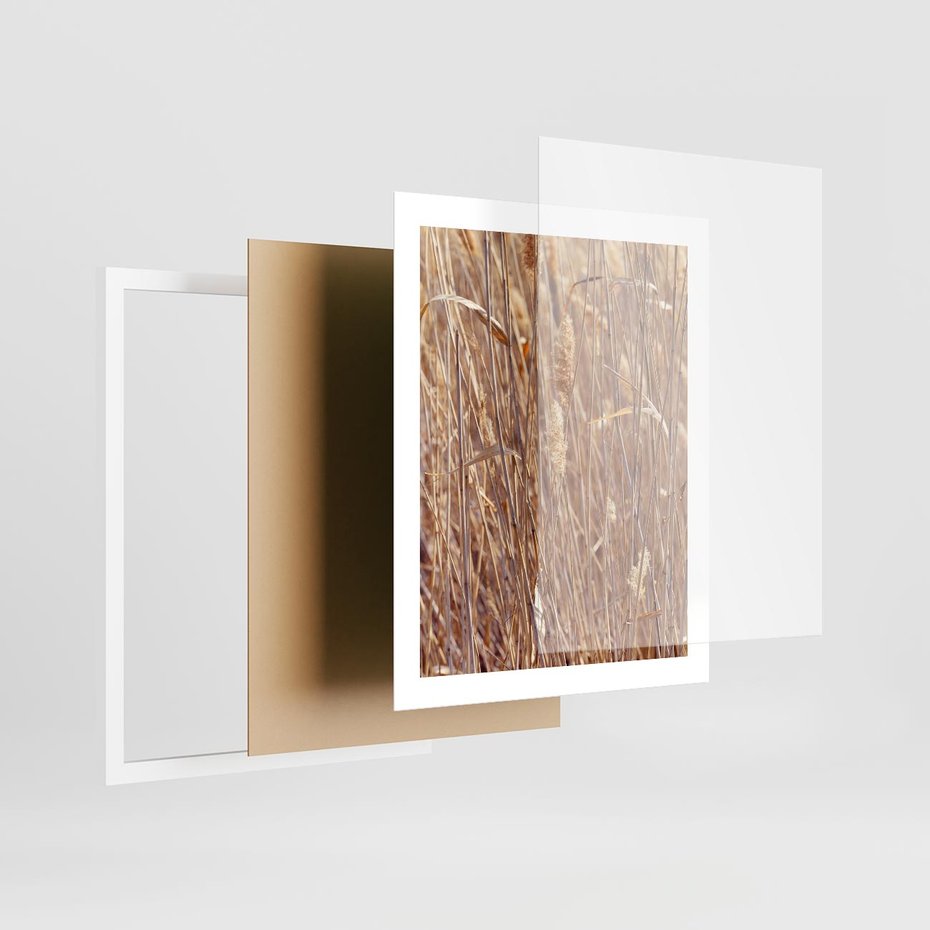 Plakat w ramie 40x50 - Mistrzowskie suche trawy - suche, trawy - rama biała