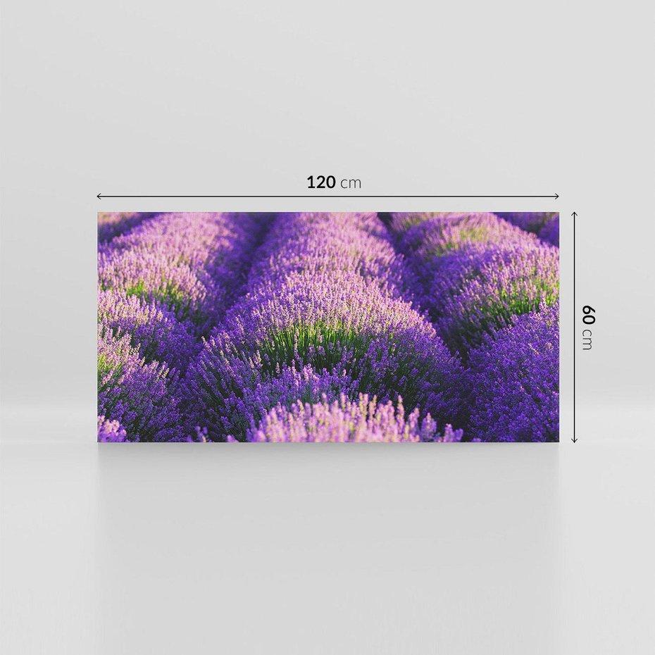 Obraz na płótnie 120x60 - Malownicze Pole Lawendy - lawenda, pole