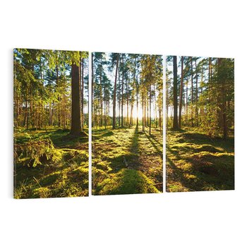 Obraz na płótnie 120x80 - Obfitość natury - las, drzewa