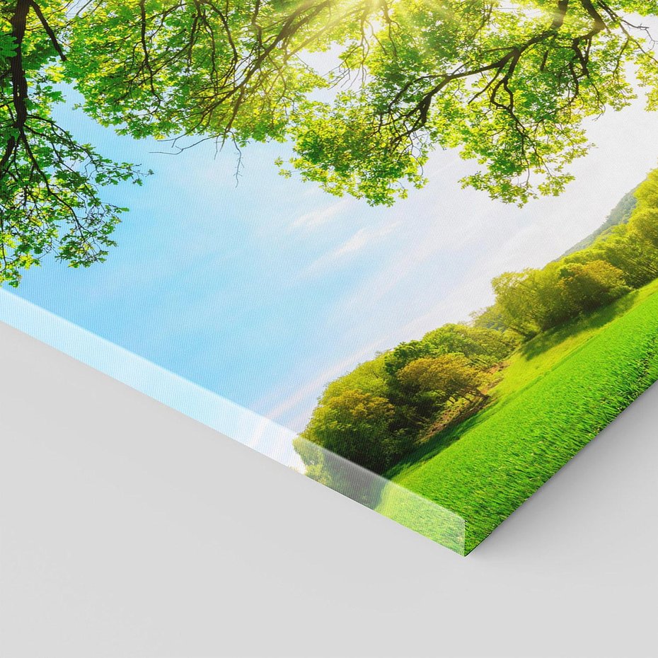 Obraz na płótnie 90x30 - Natura w pełnym rozkwicie - drzewo, niebo