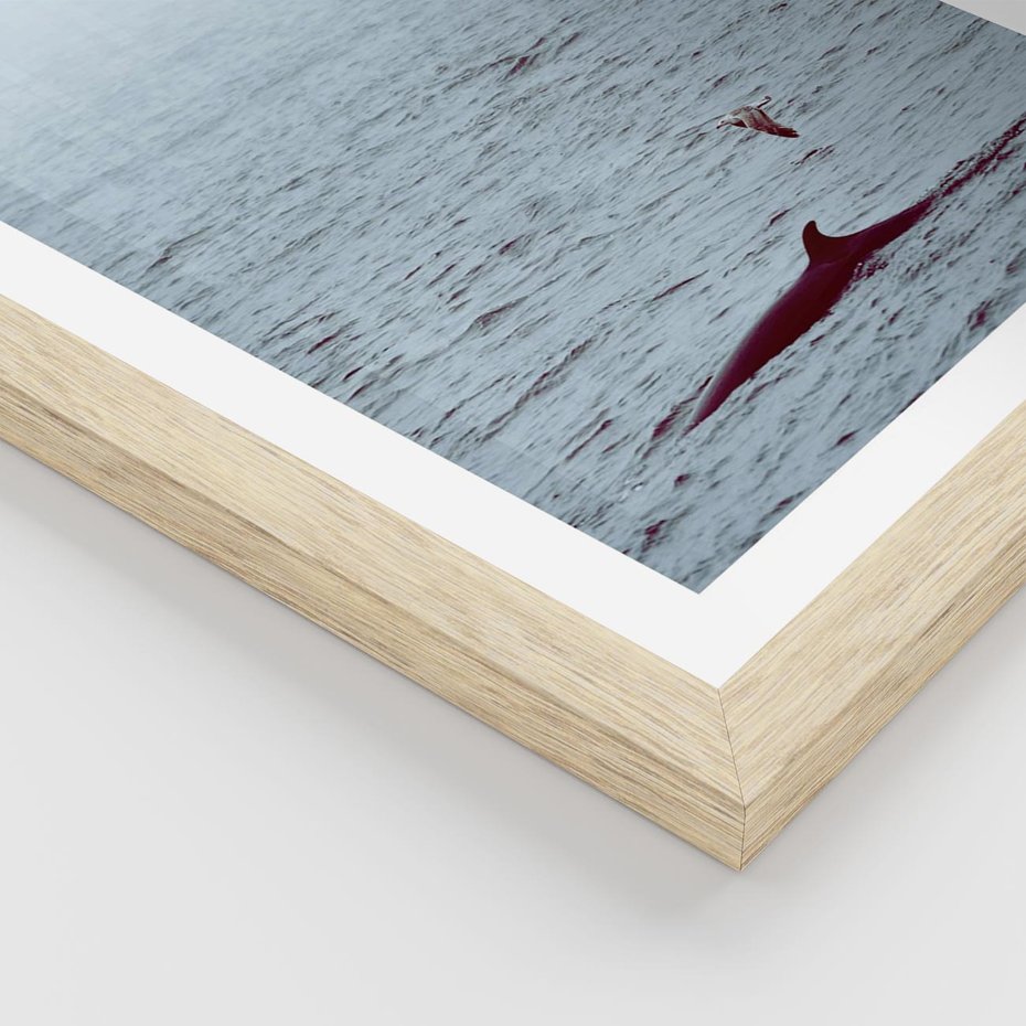 Plakat w ramie 30x40 - Spotkanie z Orką - morze, ocean - rama drewno
