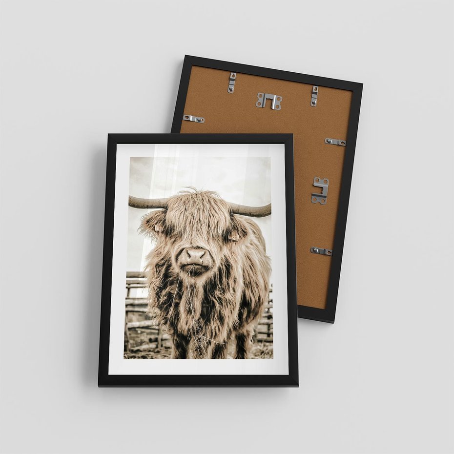 Plakat w ramie 30x40 - Klimat Wiejskiego Życia - amerykańska krowa, byk - rama czarna