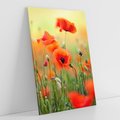 Obraz na płótnie 50x70 - Makowa Pasja - maki, kwiaty