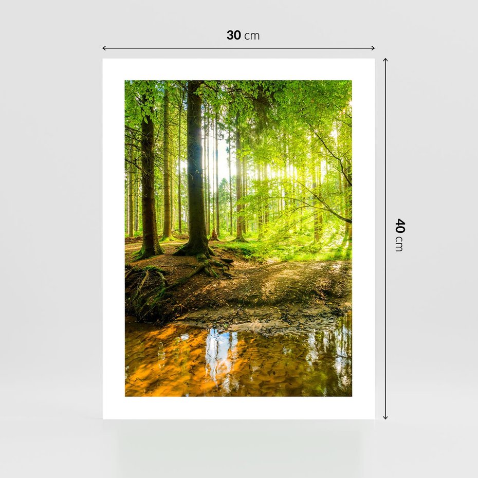 Plakat bez ramy 30x40 - Las nad Wodą - las, woda