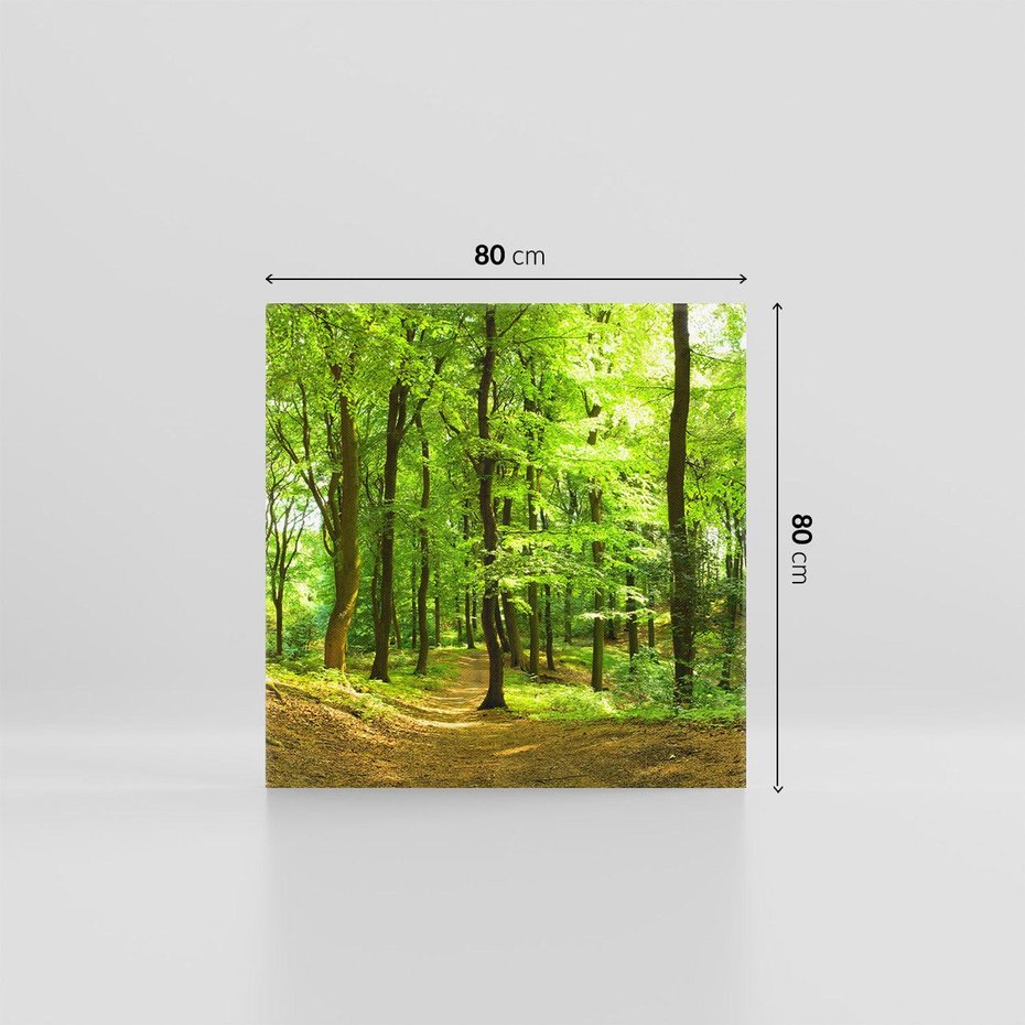 Obraz na płótnie 80x80 - Mistyka leśnych drzew - las, drzewa