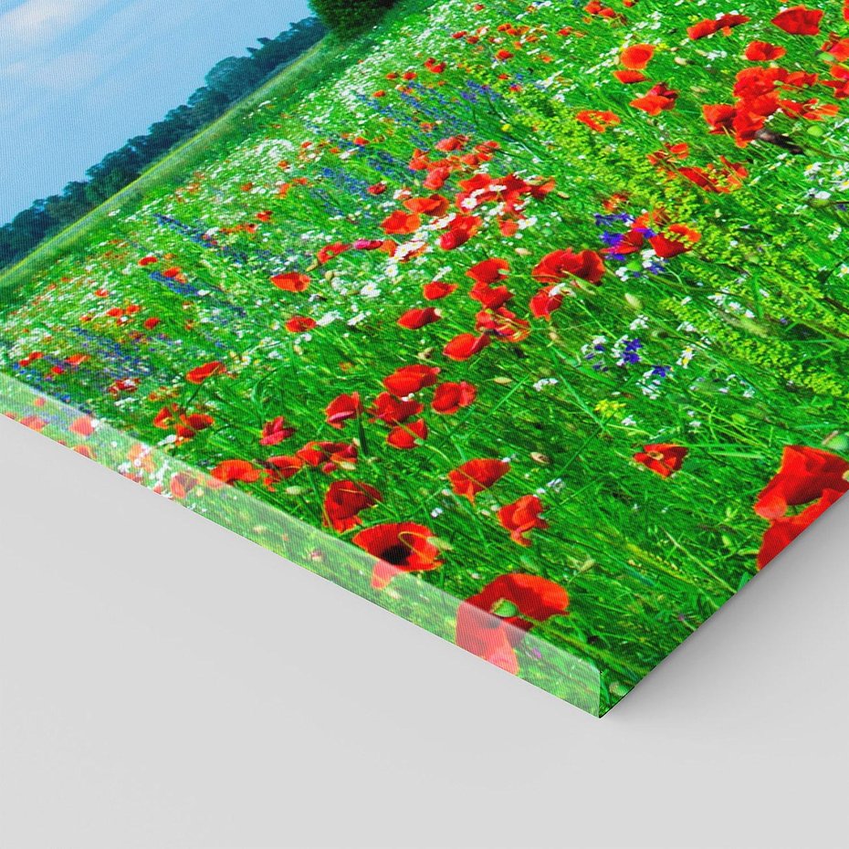 Obraz na płótnie 100x50 - Kolorowa łąka pełna maku - łąka, maki