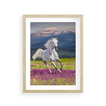 Plakat w ramie 40x50 - Koń Góry: Spotkanie z Wielką Przyrodą - koń, góry - rama drewno
