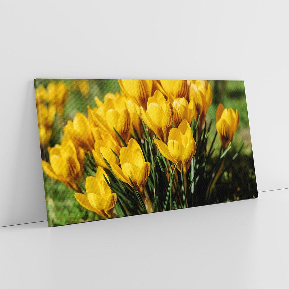 Obraz na płótnie 120x60 - Kwiatowe uniesienia natury - kwiat, kwiaty