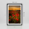 Plakat w ramie 50x70 - Maki przy zachodzie słońca - maki, zachód - rama czarna