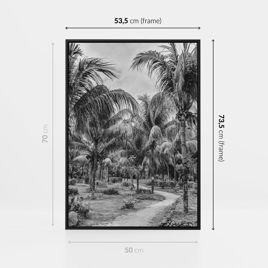 Obraz w ramie 50x70 - Mroczna Ścieżka Tropików - czarno biała fotografia, ścieżka pośród palm - rama czarna