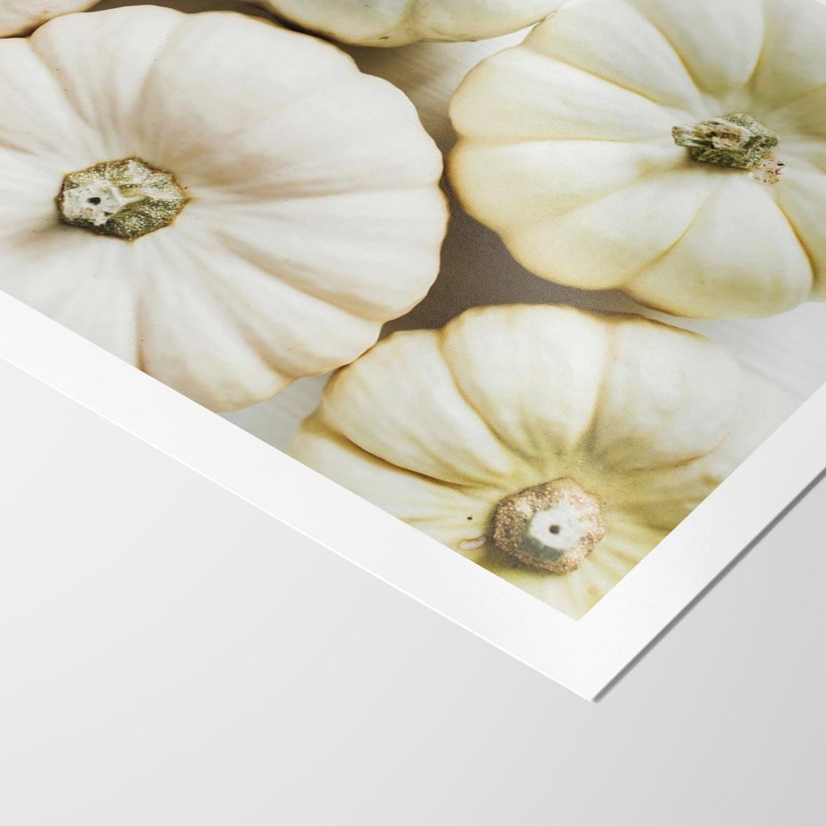 Plakat bez ramy 40x50 - Jesienne Dynie: Delikatna Kompozycja - białe dynie, jasna kompozycja