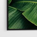 Obraz w ramie 50x70 - Zaklęta roślinna ekspresja - liście bananowca, gęsto ułożone - rama czarna