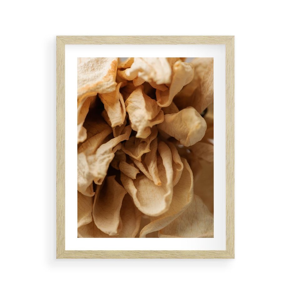 Plakat w ramie 40x50 - Zjawiskowe zasuszone kwiaty - zasuszone, kwiaty - rama drewno