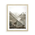 Plakat w ramie 40x50 - Dzikie Piękno: Kozica w Malowniczym Górskim Scenerii - kozica, góry - rama drewno