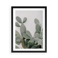 Plakat w ramie 50x70 - Imponujący Kaktus - duży kaktus, opuncja - rama czarna
