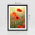 Plakat w ramie 30x40 - Makowa Pasja - maki, kwiaty - rama czarna