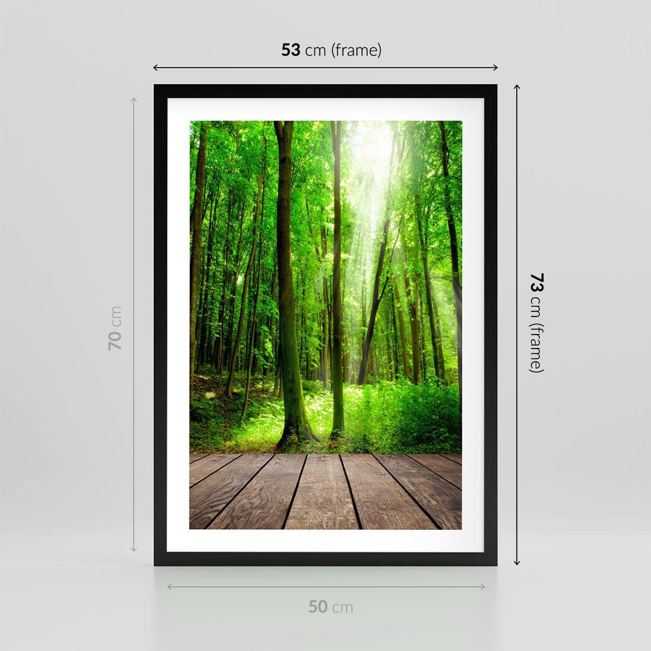 Plakat w ramie 50x70 - Spacer po urokliwej dróżce w lesie - las, dróżka - rama czarna