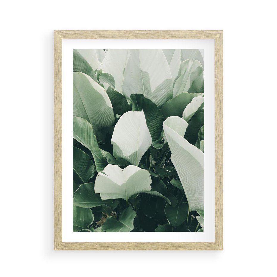Plakat w ramie 50x70 - Zgaszona Uroda Natury - zielone liście, zgaszona zieleń - rama drewno