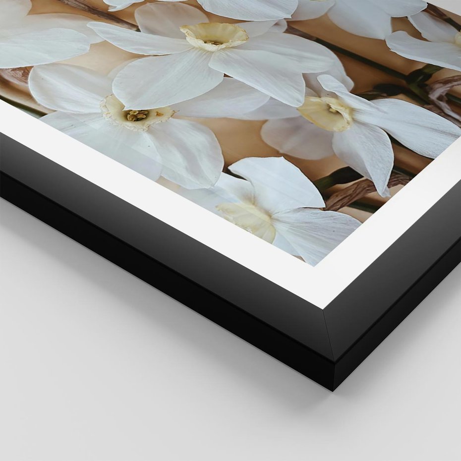 Plakat w ramie 30x40 - Białe Narcyzy - narcyzy, kwiaty - rama czarna