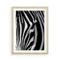 Plakat w ramie 50x70 - Pasy Zebr - zebra, paski - rama drewno