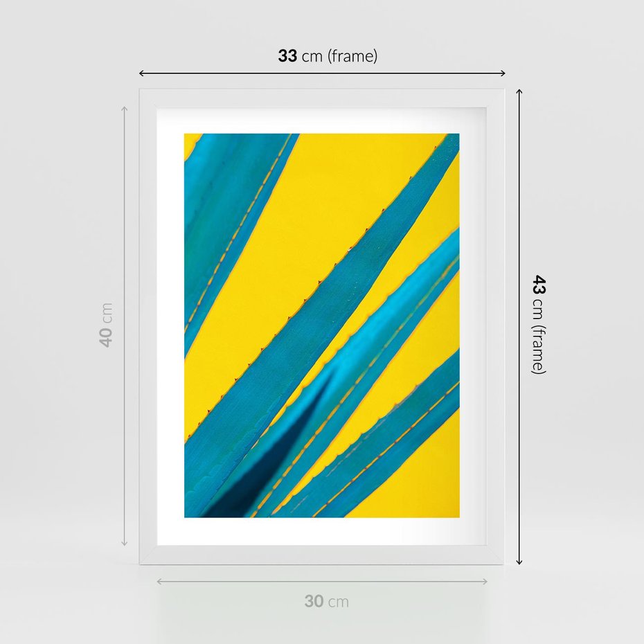 Plakat w ramie 30x40 - Świeżość Natury - aloes, liście - rama biała