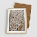 Plakat w ramie 50x70 - Beżowa Trawa - suche trawy, zbliżenie - rama drewno
