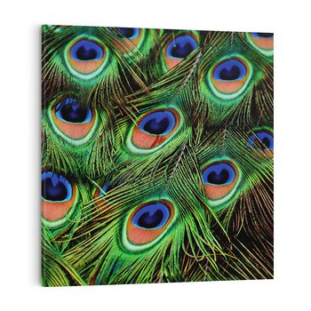Obraz na płótnie 40x40 - Pawi Ogon - Piękno i Wspaniałość - paw, pióra