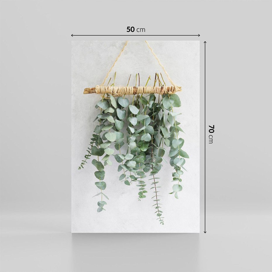 Obraz na płótnie 50x70 - Uwodzicielska zieleń eukaliptusa - eukaliptus, zielone