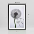 Plakat w ramie 50x70 - Lekkość Przemijania - dmuchawiec, makro - rama czarna