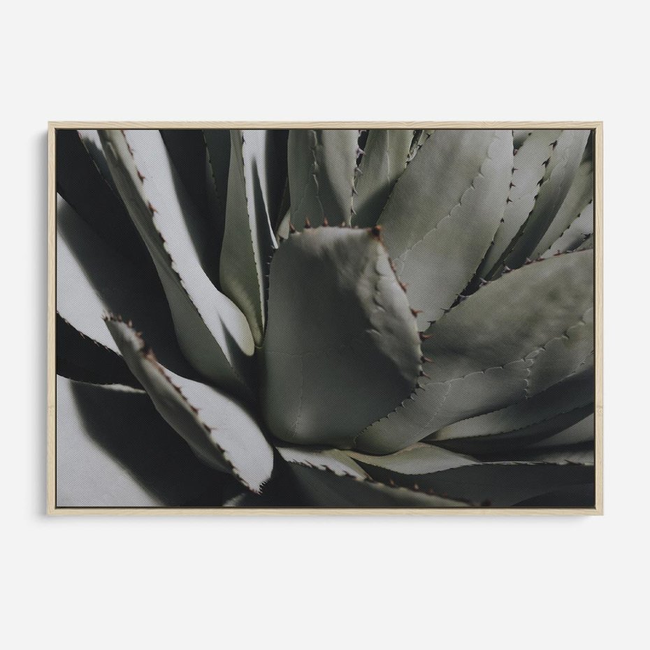 Obraz w ramie 120x80 - Sukulenty wśród kaktusów - sukulenty, kaktusy - rama drewno