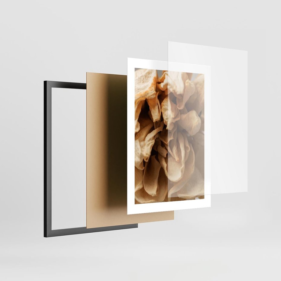 Plakat w ramie 30x40 - Zjawiskowe zasuszone kwiaty - zasuszone, kwiaty - rama czarna