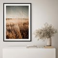 Plakat bez ramy 21x30 - Sucha Trawa w Odcieniach Sepii - suche trawy, łąka odcienie beżu