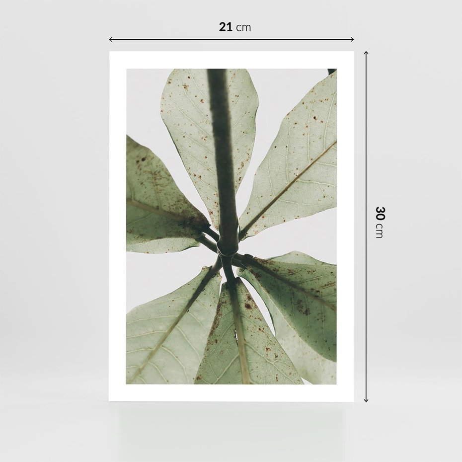 Plakat bez ramy 21x30 - Jasna Zieleń w Makro - makro zdjęcie liści, jasna zieleń