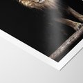 Plakat bez ramy 21x30 - Lew: dzikie piękno natury - lew, dzikie