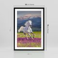 Plakat w ramie 50x70 - Koń Góry: Spotkanie z Wielką Przyrodą - koń, góry - rama czarna