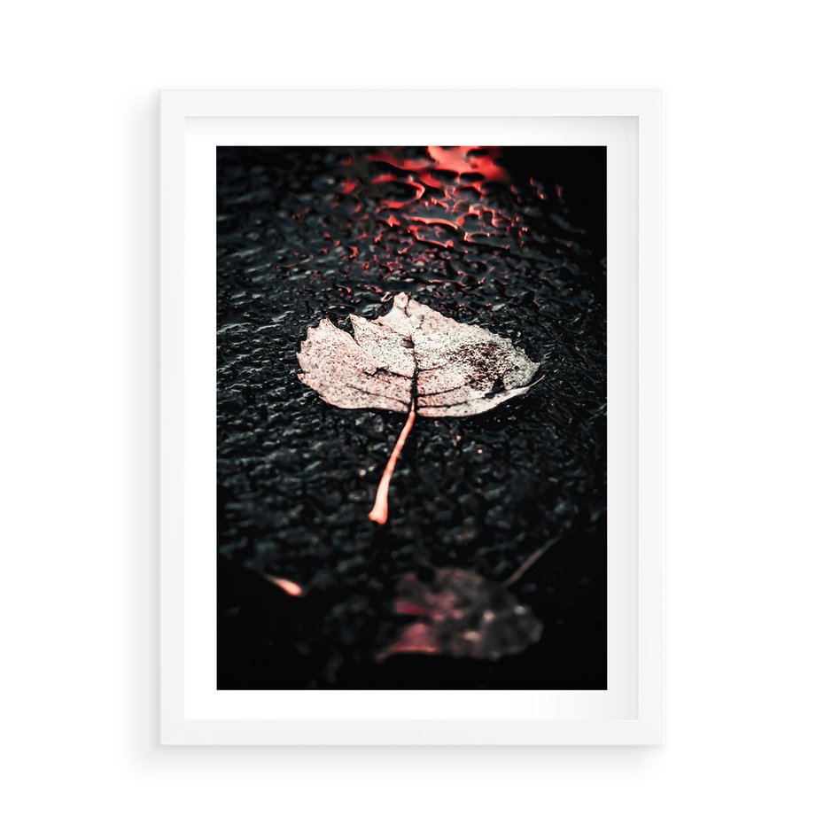 Plakat w ramie 50x70 - Jesień w Detalu: Liść na Mokrej Drodze - liść, jesień - rama biała