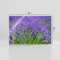 Obraz na płótnie 70x50 - Lawendowe pola piękno natury - lawenda, kwiaty