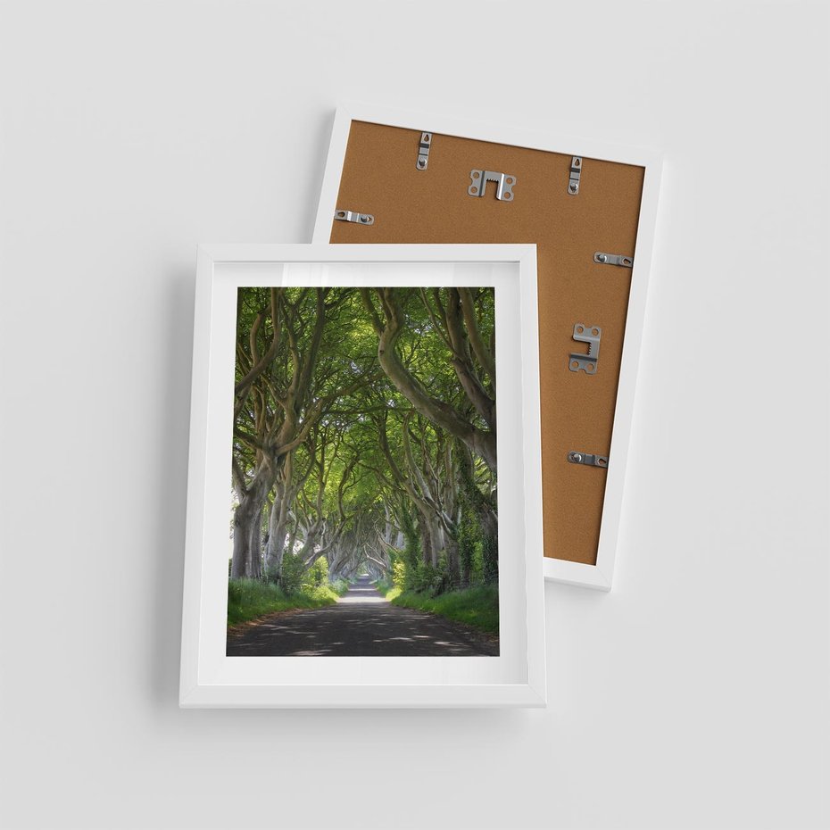 Plakat w ramie 30x40 - Magiczny Las - drzewa, las - rama biała