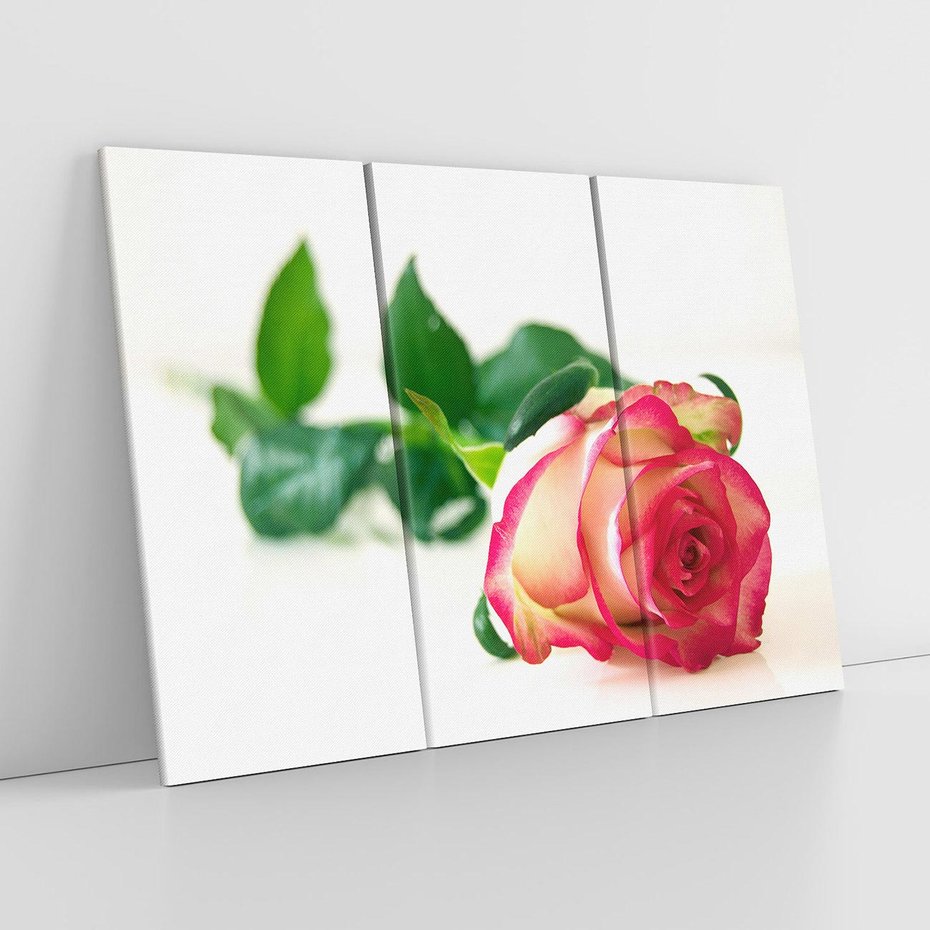 Obraz na płótnie 120x80 - Romantyczna Róża - róża, kwiat