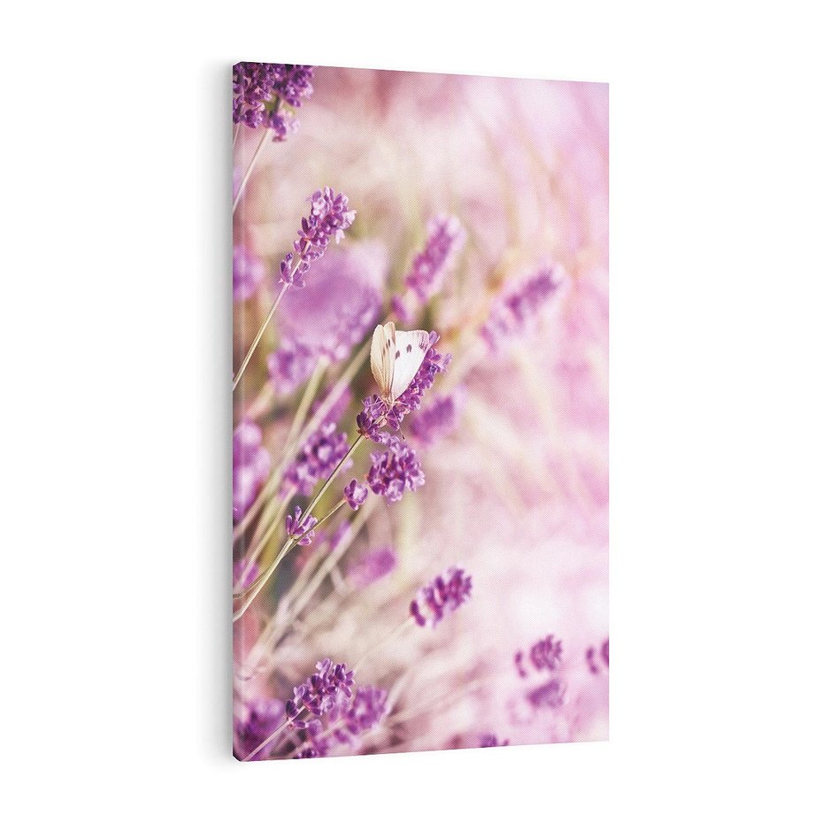 Obraz na płótnie 50x70 - Majestat lawendy: fioletowe pola - lawenda, fiolet
